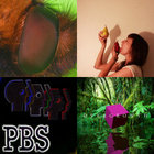 adgitate thumbnail