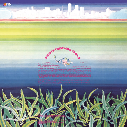 洋楽 Delired Cameleon Family Delired Cameleon Family | Delired Cameleon Family | Wah Wah