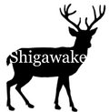 Shigawake image