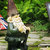 Electric Gnome thumbnail
