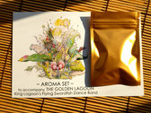 Aroma set + The Golden Lagoon vinyl photo 
