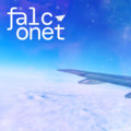 falconet image