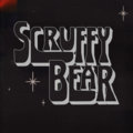 Scruffy Bear image