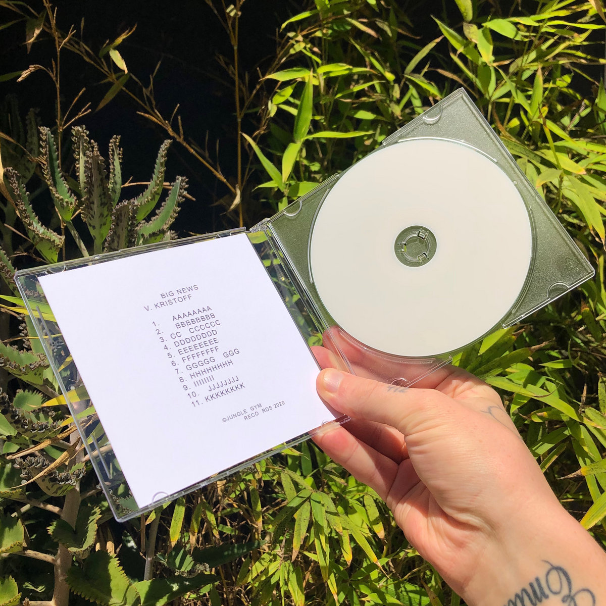 DDDDDDDD | V. Kristoff | JUNGLE GYM RECORDS
