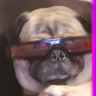 turnoffs77 thumbnail