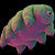 tardigrape thumbnail