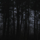remuabbaumer thumbnail