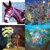 Mister Mellow thumbnail