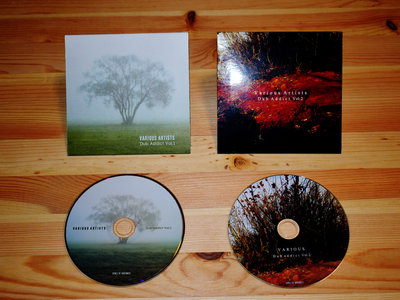 Space Of Variants_Various Artists_Dub Addict (Vol.1 & Vol.2)_2_СD_Bundle_FREE SHIPPING_WORLDWIDE! main photo