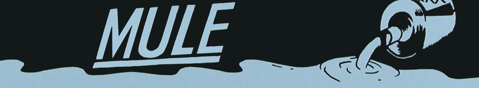Mule — Photo