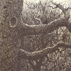 The Stone Operation | Mischief Brew