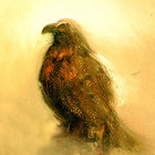 Wind and Rain thumbnail