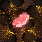 DaPorkchop_ thumbnail
