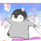 nomar5 thumbnail