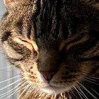 christopher_walker thumbnail