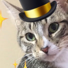 nikkicole6677 thumbnail