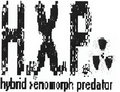 Hybrid Xenomorph Predator image