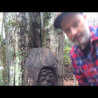 JP28 thumbnail