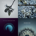 stasis | zero degree | ant-zen