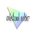 virtual echo image