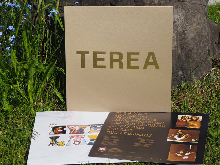 terea tobacco Russet Heated Iqos Terea Amelia Pearl (Capsule