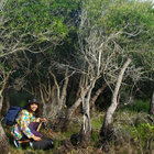 Iyante´ thumbnail