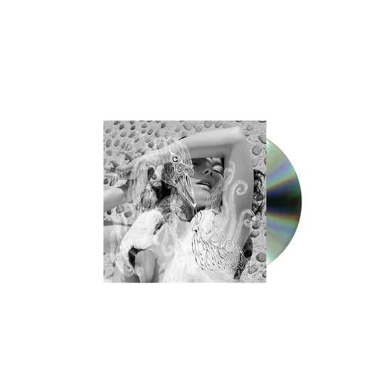 Björk ビョーク Vespertine ヴェスパタイン アナログ 2LP Amazon.com: Vespertine: CDs & Vinyl