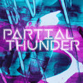 Partial Thunder image