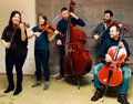 Toomai String Quintet image