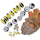 pinenutrecords thumbnail