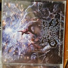 [入手困難] DEVOURMENT／1.3.8 Devourment - 1.3.8. (CD) – Miasma Records