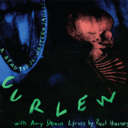 Live at the Knitting Factory 1991 / Live at D.C. Space 1991