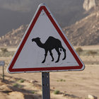 Adounia Tassirmagh Hasso Akotey