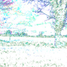 Eavan thumbnail