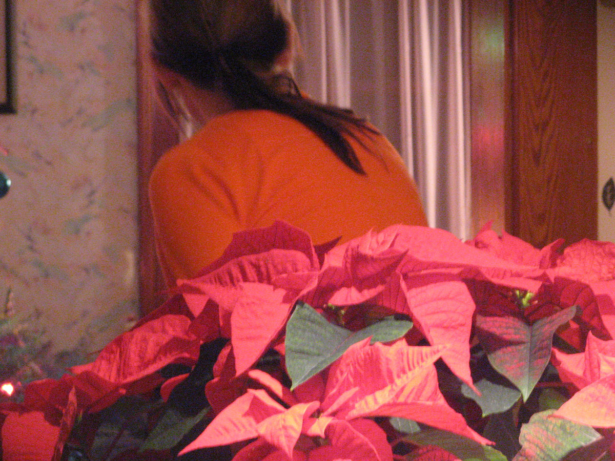 The Meadowlands the wrens