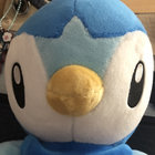 birdori thumbnail