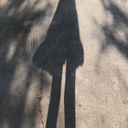 honeyspoon thumbnail
