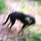 Gary LaMountain thumbnail