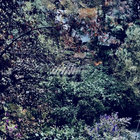 Sympathy Nervous | Sympathy Nervous