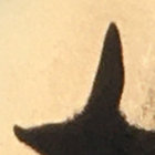 り thumbnail