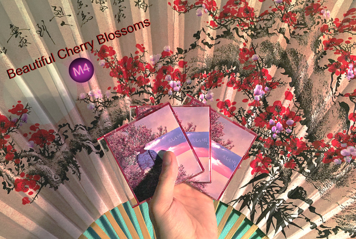 Japanese Cherry Blossom ハンドソープ 4本セット Japanese Cherry Blossom ハンドソープ 4本セット Amazon.co.jp
