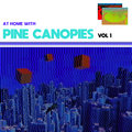 Pine Canopies image