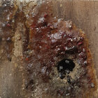 salllvage thumbnail