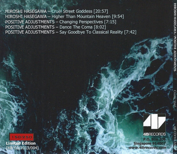 HIROSHI HASEGAWA / POSITIVE ADJUSTMENTS - Cryptic Void | 4iB