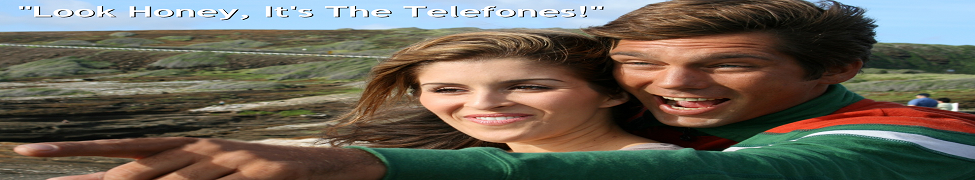 The Telefones — Photo