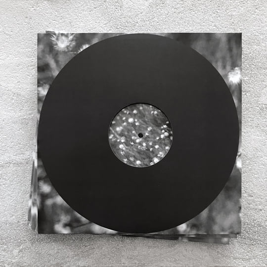 Elsewhere: Further Excursions (1994-1995) | Pilgrims Of The