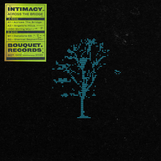 Across The Bridge | Intimacy | Night Prism