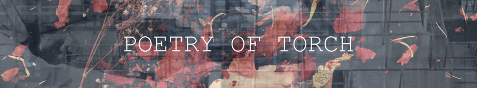 Poetry of Torch — Photo