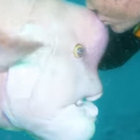 lilwebsite thumbnail