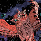 owlheadvoid7 thumbnail